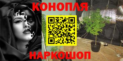 apvp Заводоуковск